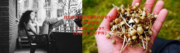 трава Абинск
