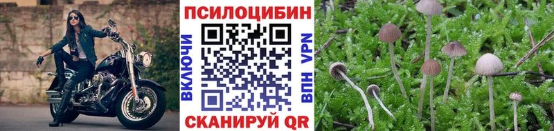 купить закладку  Темников  Галлюциногенные грибы мухоморы 